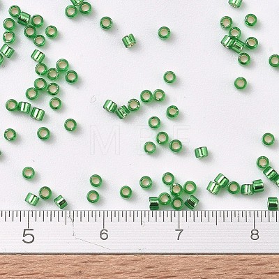 MIYUKI Delica Beads X-SEED-J020-DB0046-1