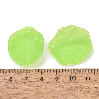 Frosted Acrylic Pendants AC-CBA1E6C-01A-1