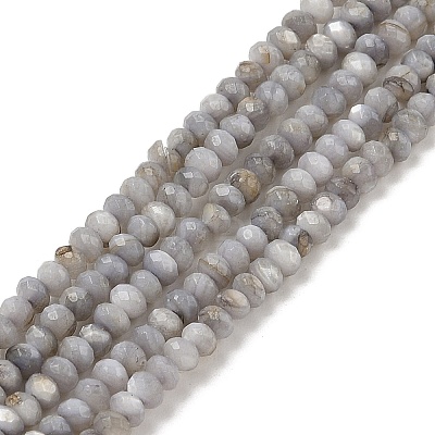 Natural Freshwater Shell Dyed Beads Strands SHEL-R100-13A-04-1