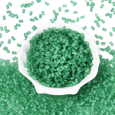 FGB Frosted Transparent Glass Seed Beads SEED-N013-05A-09-1