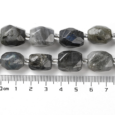Natural Labradorite Beads Strands G-C105-A02-01-1