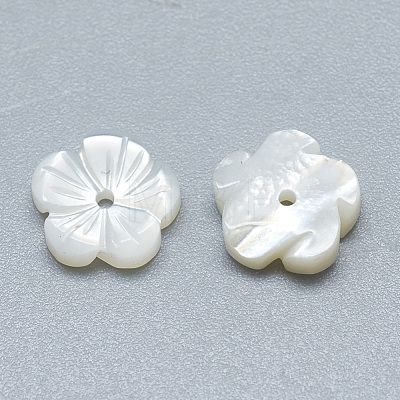 Natural White Shell Beads SSHEL-S260-010-1
