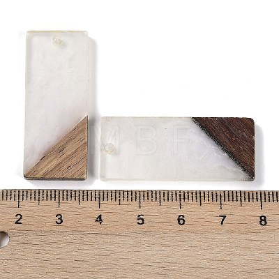 Resin & Wood Pendants WOOD-F015-09E-1