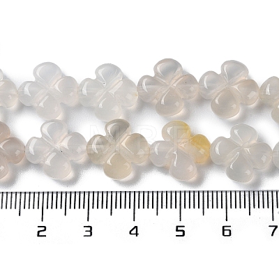 Natural White Agate Beads Strands G-M418-D03-01-1