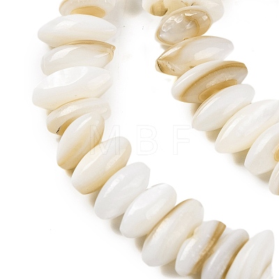 Natural Anomaly Freshwater Shell Beads Strands BSHE-S304-05B-1