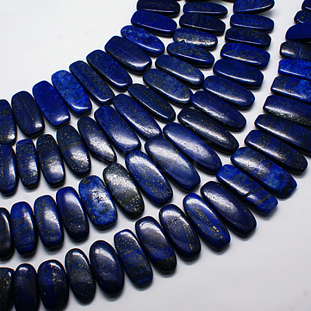 Natural Gemstone Pendants Lapis Lazuli Graduated Beads Strands G-F129-B-02-1