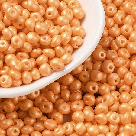 6/0 Glass Seed Beads X1-SEED-L011-08A-19-1