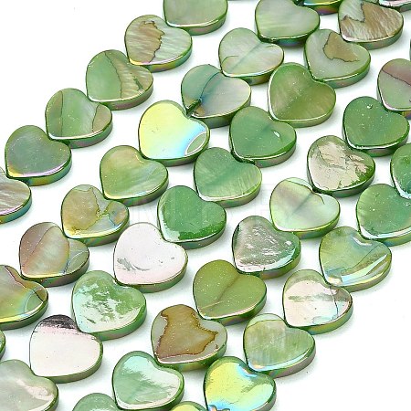 Natural Freshwater Shell Beads Strands SH-CBA93AD-06D-1