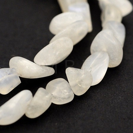 Natural White Moonstone Bead Strands G-J280-01-1