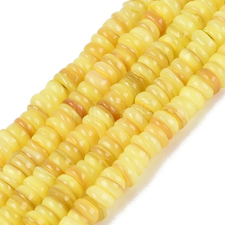 Natural Freshwater Shell Beads Strands SHEL-Q028-01C-1