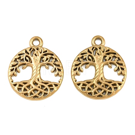 304 Stainless Steel Pendants SA-CBA1839-20G-1