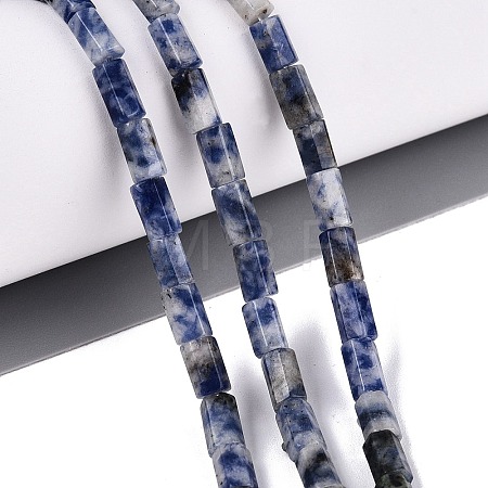 Natural Blue Spot Jasper Beads Strands GG-N002-01A-25-1