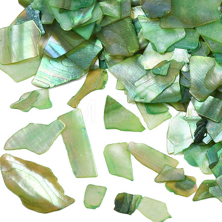 Natural Abalone/Paua Shell Mica Fragment MRMJ-N026-001-A04-1