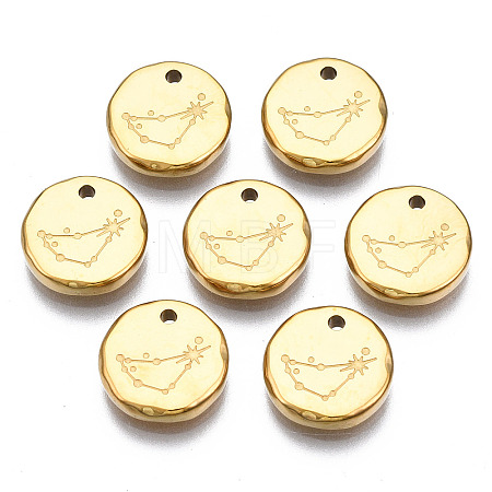 316 Surgical Stainless Steel Charms STAS-S116-418C-G-1