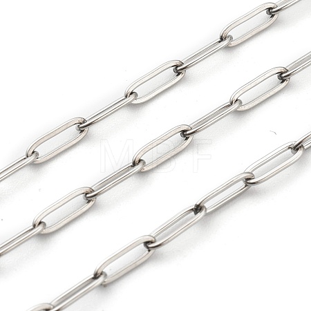 Non-Tarnish 304 Stainless Steel Paperclip Chains STAS-H111-04P-B-1
