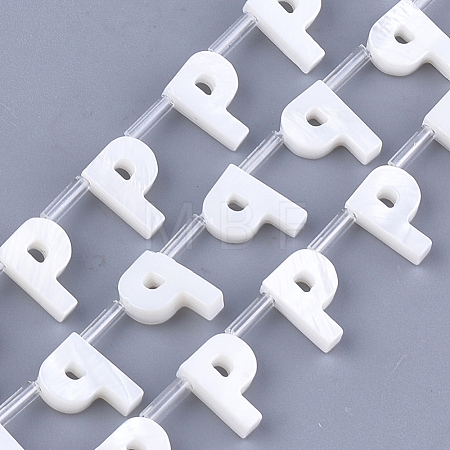 Natural Freshwater Shell Beads SHEL-T012-59P-1