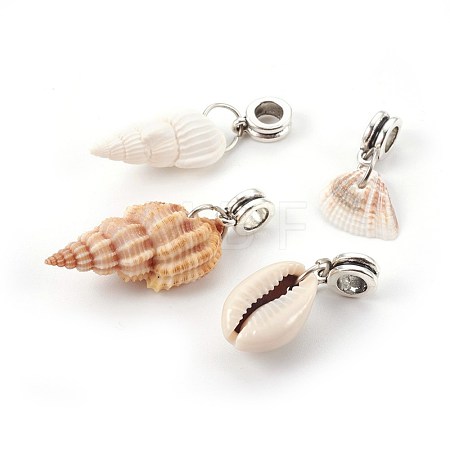 Alloy European Dangle Charms PALLOY-JF00361-M-1