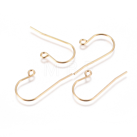 304 Stainless Steel Earring Hooks X-STAS-F227-29-G-1