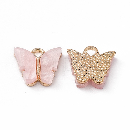 Acrylic Charms MACR-C012-01KCG-10-1