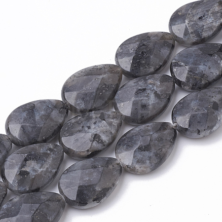 Natural Labradorite Beads Strands G-S292-17-1