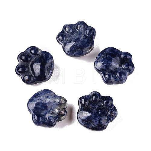 Natural Sodalite Cat Paw Print Figurines DJEW-N003-03C-1