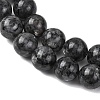 Natural Larvikite Beads Strands G-A310-A03-16mm-4