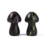Natural Dragon Blood Mushroom Display Decorations G-Q602-03D-1