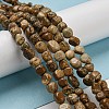 Natural Picture Jasper Bead Strands G-F465-56-2