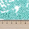 Baking Paint Glass Seed Beads SEED-K010-A19-4