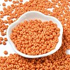 Baking Paint Glass Seed Beads X1-SEED-B001-02A-07-2