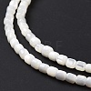 Natural Trochus Shell Beads Strands SSHEL-H070-02G-5