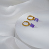 304 Stainless Steel Hoop Earrings AY4063-3-2