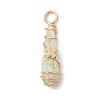 5Pcs 5 Styles Electroplated Natural Quartz Crystal Copper Wire Wrapped Pendants PALLOY-JF03434-3