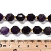 Natural Amethyst Beads Strands G-P568-B01-01-5