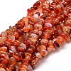 Dyed Natural Carnelian Chip Beads Strands G-E271-105-1