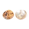 2-Hole Mother of Pearl Buttons SHEL-T012-43A-2