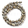 Natural Dalmatian Jasper Beads Strands G-B106-A29-01-3