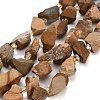 Raw Rough Natural Picture Jasper Beads Strands GG-CBA0B77-A08-01-2
