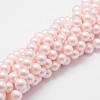 Shell Pearl Bead Strands X-BSHE-L025-06-8mm-1