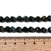 Natural Bloodstone/Heliotrope Beads Strands G-Z119-A16-01-6