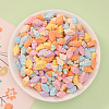 Opaque Resin Imitation Food Decoden Cabochons RESI-K027-14-1