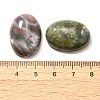 Natural Indian Agate Gemstone Cabochons X-G-T020-18x25mm-27-3