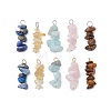 10Pcs 5 Colors 12 Constellation Natural Aquamarine & Citrine & Rose Quartz & Tiger Eye & Lapis Lazuli Pendants PALLOY-JF02839-04-1