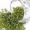 8/0 Glass Seed Beads X1-SEED-A007-3mm-164-1
