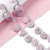 Natural Lepidolite Beads Strands G-G805-B18-2
