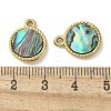 304 Stainless Steel Natural Paua Shell Pendants STAS-U037-12G-01-3