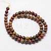 Natural Polychrome Jasper/Picasso Stone/Picasso Jasper Bead Strands G-G735-14-8mm-2