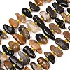 Natural Grey Opal Beads Strands G-K393-B07-2