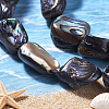 1 Strand Natural Abalone Shell/Paua Shell Beads Strands SSHEL-PA0001-03-3