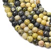 Natural Yellow Turquoise(Jasper) Beads Strands G-Z116-A19-3mm-4